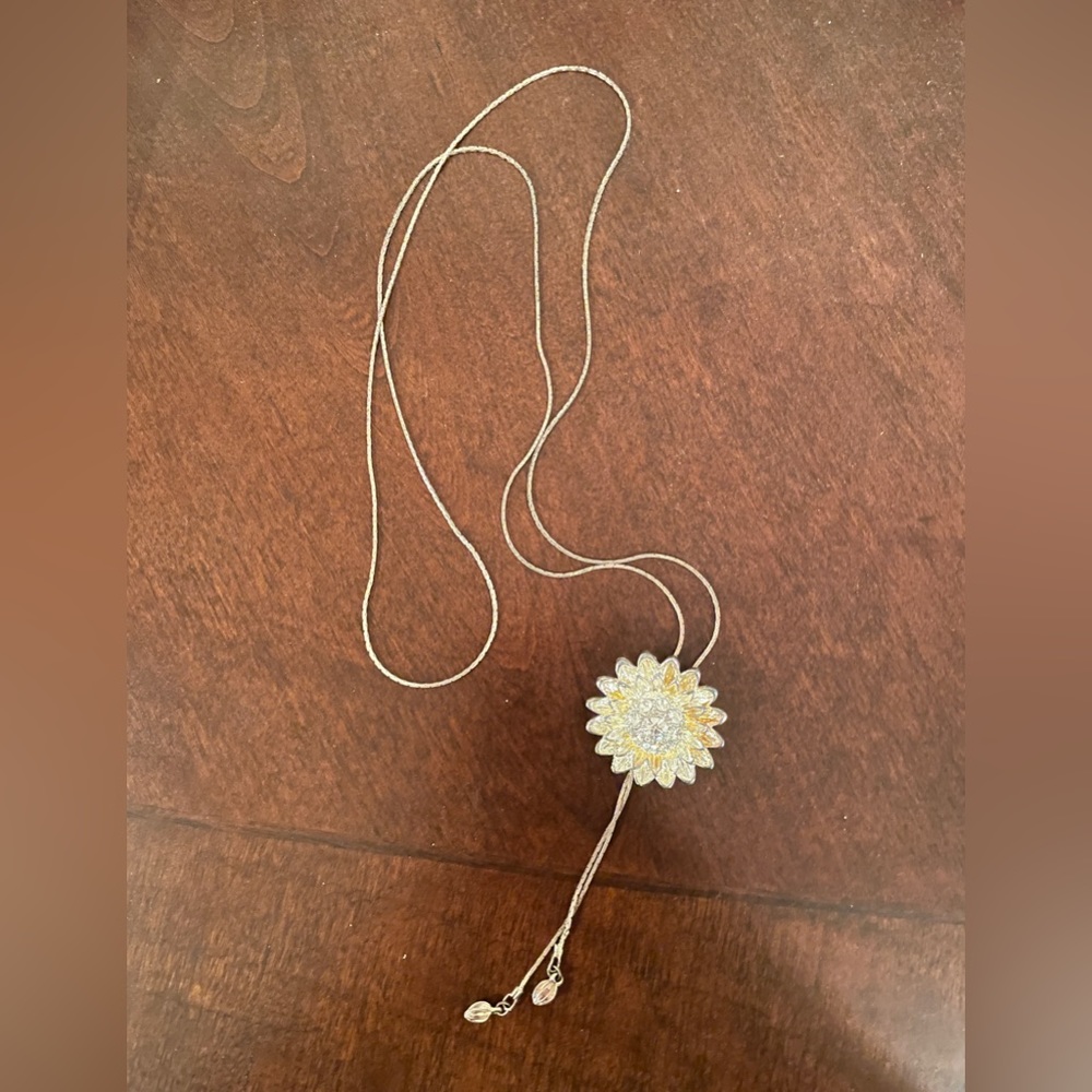 Long Necklace